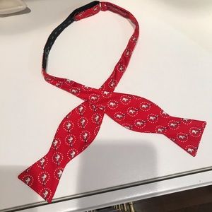 Rare Southern Proper GOP bow tie